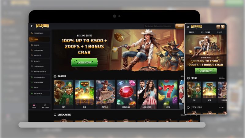 Wildsino Casino security features and game interface